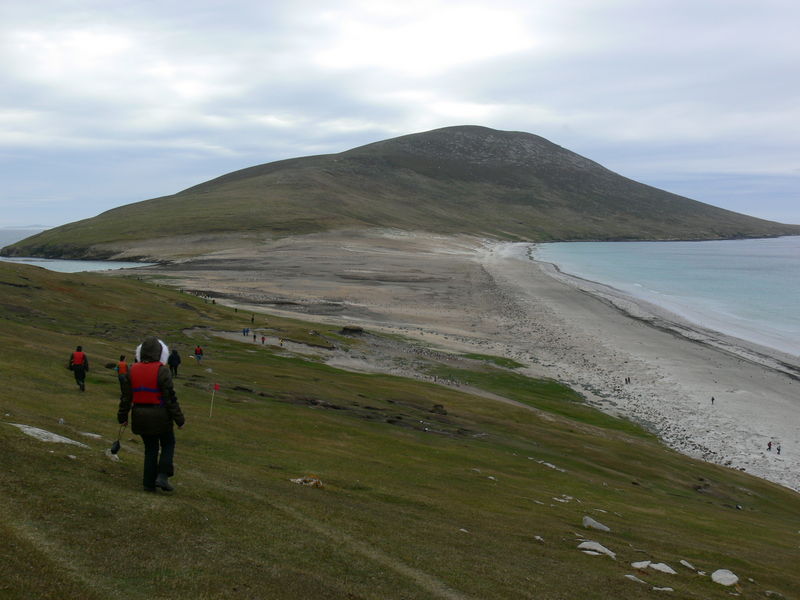 Saunders_Island013