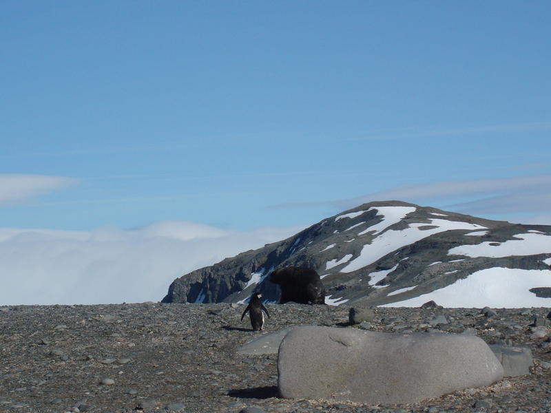 Half_Moon_Island014