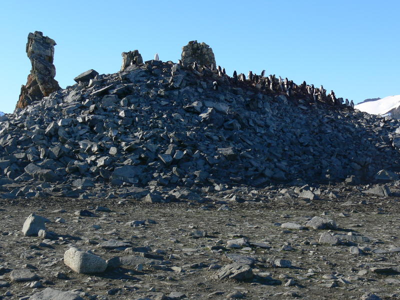 Half_Moon_Island034