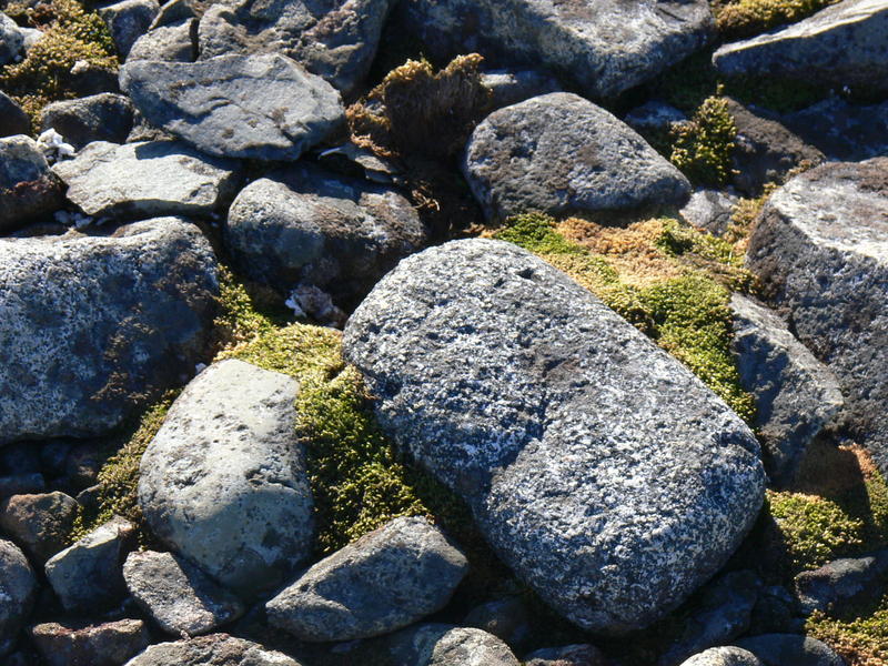 Half_Moon_Island041