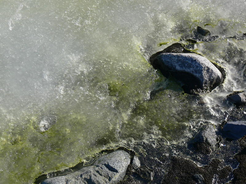 Half_Moon_Island042