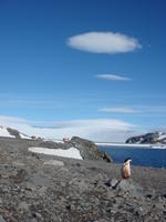 Half_Moon_Island007