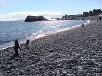 Half_Moon_Island015