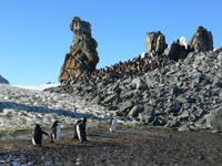 Half_Moon_Island051