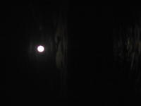 Full_Moon04