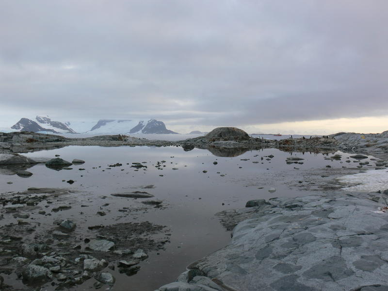 Petermann_Island015