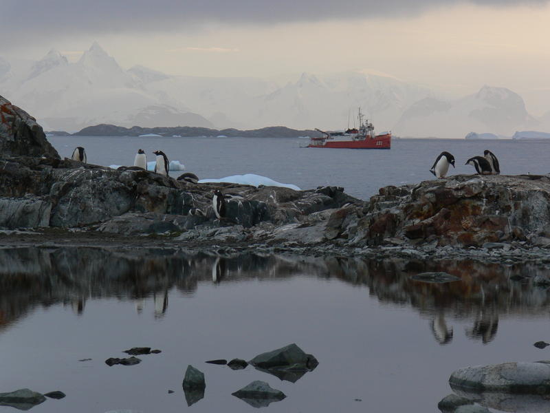 Petermann_Island017