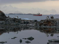 Petermann_Island017