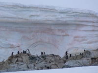 Petermann_Island028