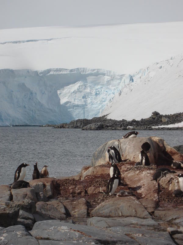 Port_Lockroy008