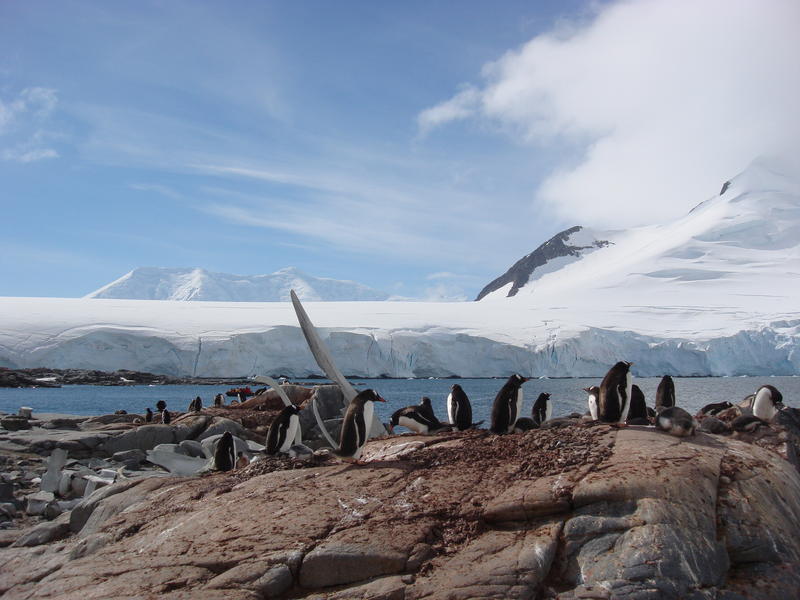 Port_Lockroy012