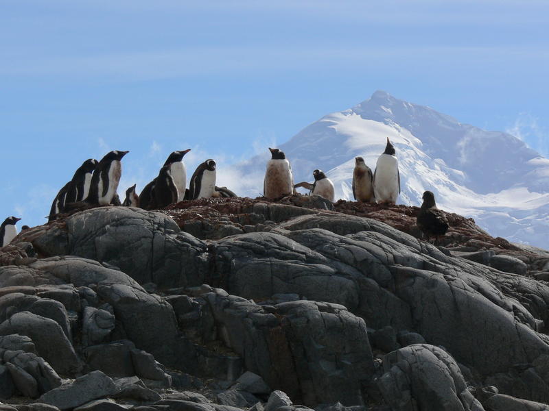 Port_Lockroy017