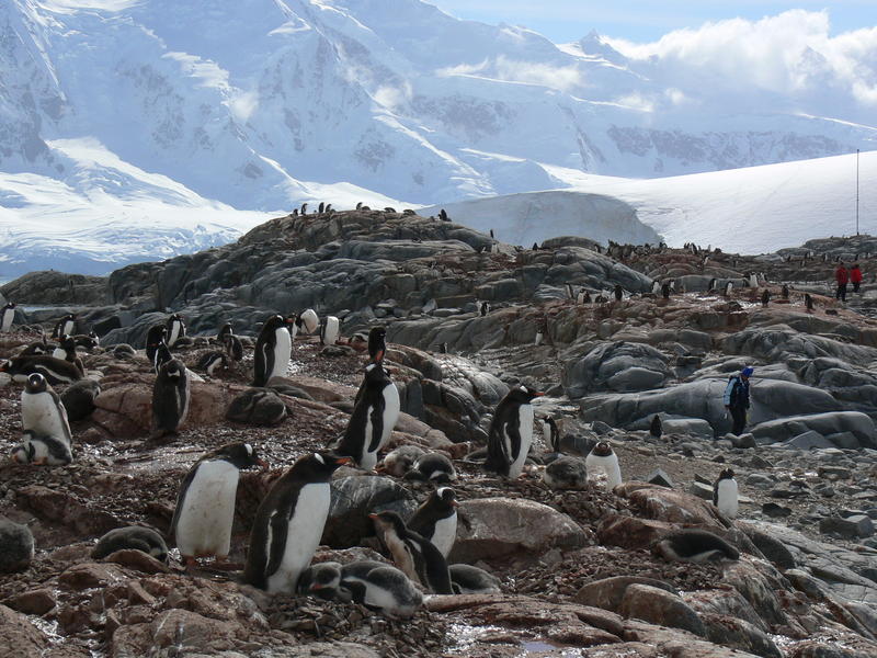 Port_Lockroy023