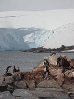 Port_Lockroy008