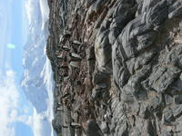 Port_Lockroy024