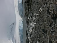 Whale_bones008