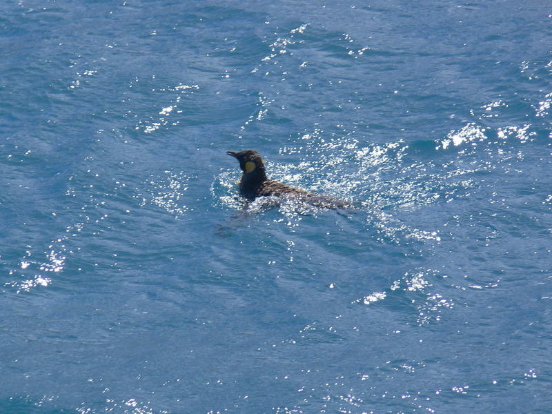 Fortuna_Bay045