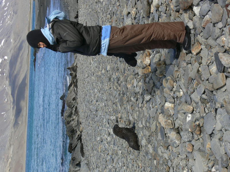 Fortuna_Bay050