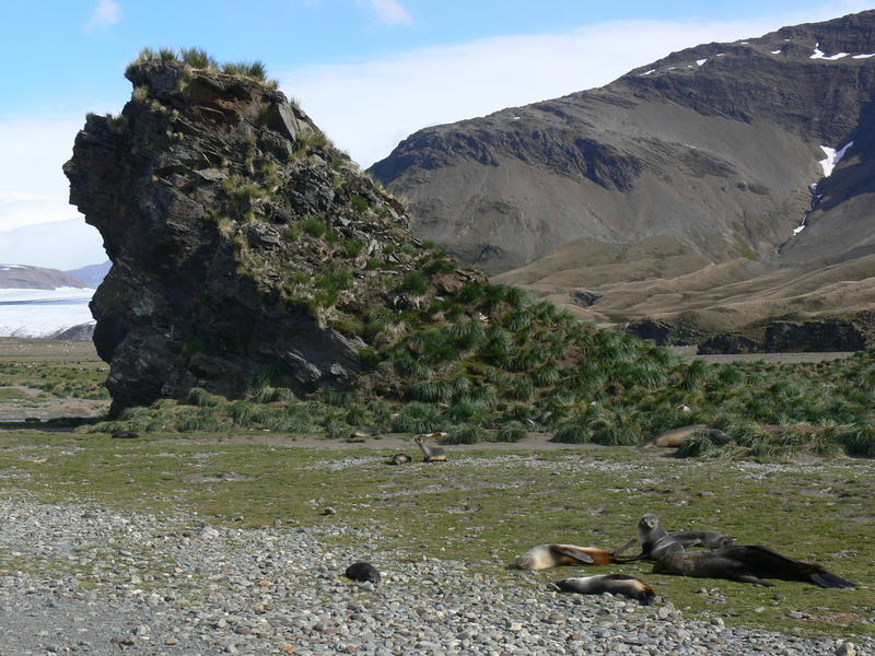 Fortuna_Bay071