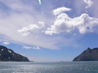 Fortuna_Bay041