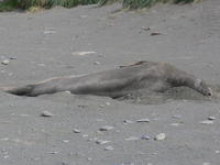 Fortuna_Bay059