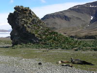 Fortuna_Bay071