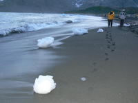 Gold_Harbour016