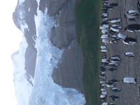 Gold_Harbour020