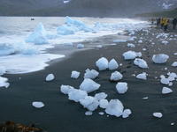 Gold_Harbour022