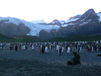 Gold_Harbour029