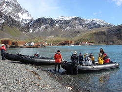 Grytviken001