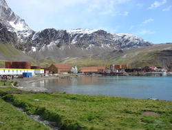 Grytviken006