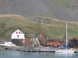 Grytviken016