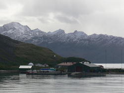 Grytviken023