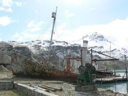 Grytviken043