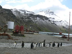 Grytviken054