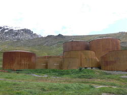 Grytviken057