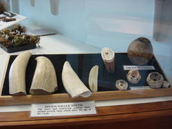 Museum009