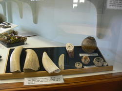 Museum026