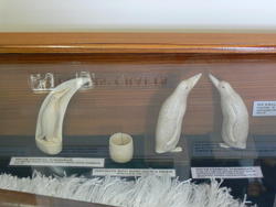 Museum033