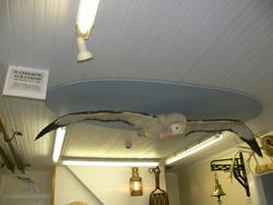 Museum035