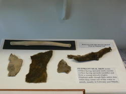 Museum037