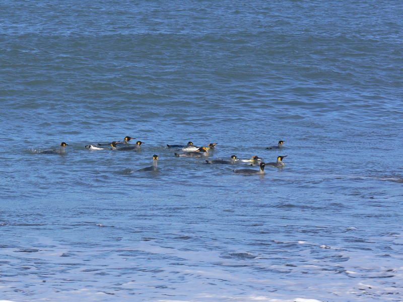 St_Andrews_Bay026