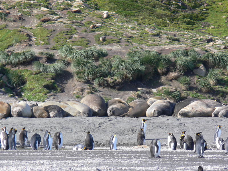 St_Andrews_Bay064