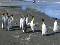 St_Andrews_Bay001
