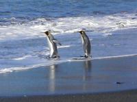 St_Andrews_Bay027