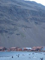 Stromness003