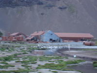 Stromness005