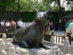 Summer_Palace18.jpg