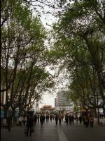 Kunming15.jpg